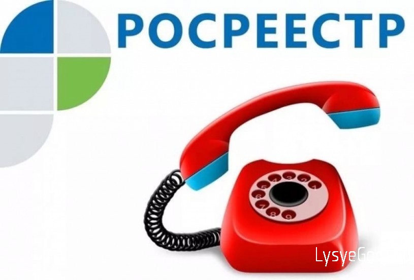 На телефон доверия саратовского Росреестра в 2023 году не поступило ни одного звонка
На телефон доверия саратовского Росреестра в 2023 году не поступило ни одного звонка