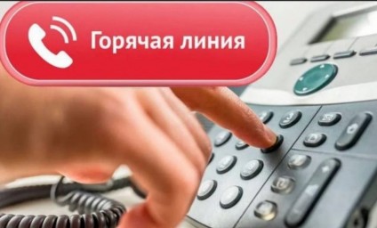 Об организации работы «горячей линии»
Об организации работы «горячей линии»