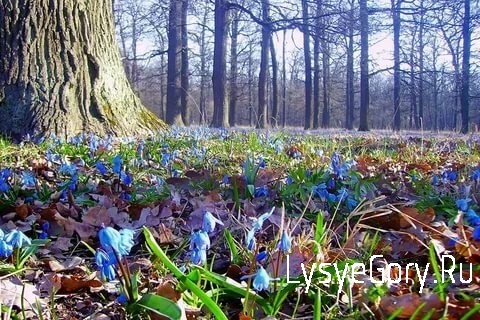 
Оперативный прогноз на 30 апреля 2021 года
