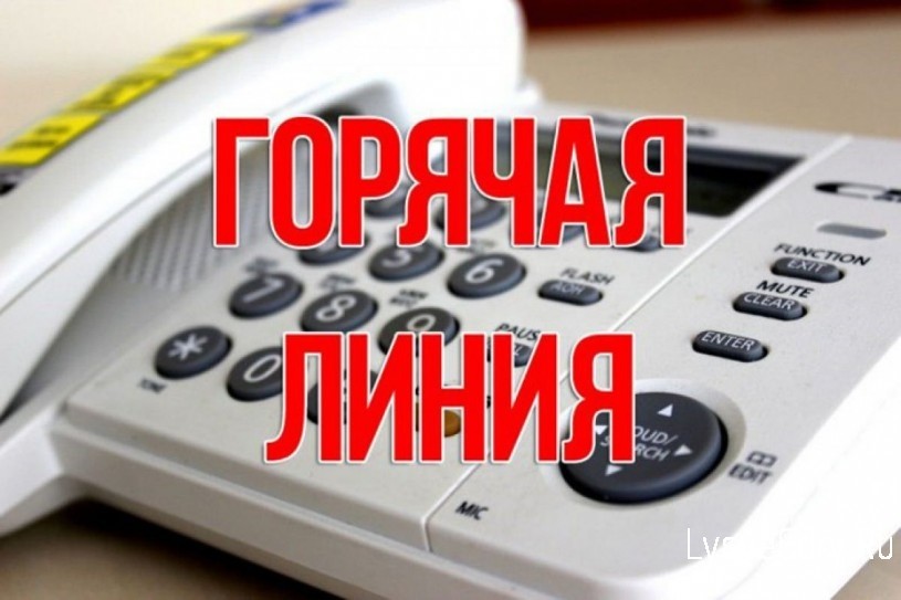 С начала года на «горячую линию» Отделения СФР по Саратовской области поступило более 13 тысяч зво
С начала года на «горячую линию» Отделения СФР по Саратовской области поступило более 13 тысяч зво