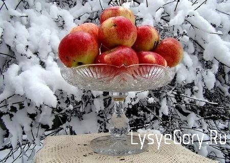Оперативный прогноз на 29 января 2021 года
Оперативный прогноз на 29 января 2021 года