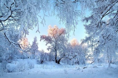 
Оперативный прогноз на 16 февраля 2021 года
