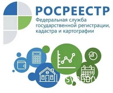 Управление Росреестра по Саратовской области рассказывает о порядке осуществления
государственного 