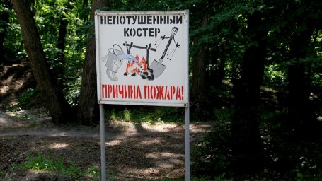 Саратовцам на три недели запретили ходить в лес