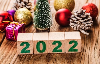 
Оперативный прогноз на 1 января 2022 года
