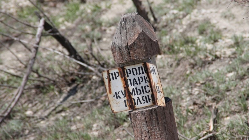 Саратовцев просят не посещать Кумыску и территории 24 лесничеств