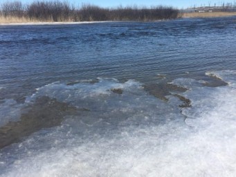 Паводок. Уровень Хопра поднялся почти на&nbsp;полтора метра&nbsp
