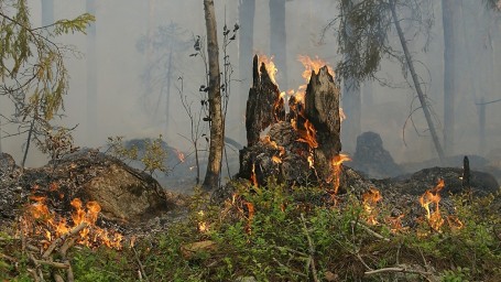После грозы около 100 человек одновременно тушили два природных пожара