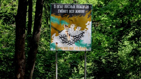 Минприроды ограничило лесные прогулки саратовцев Минприроды ограничило лесные прогулки саратовцев