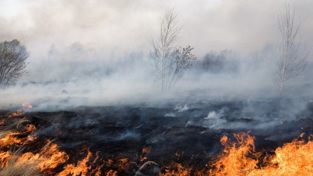 Всплеск природных пожаров в Саратовской области ожидают с 20 апреля